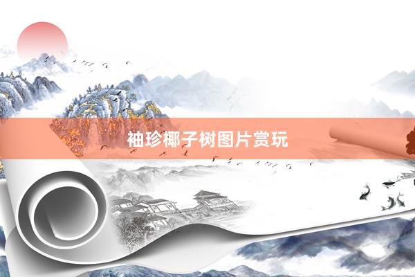 袖珍椰子树图片赏玩