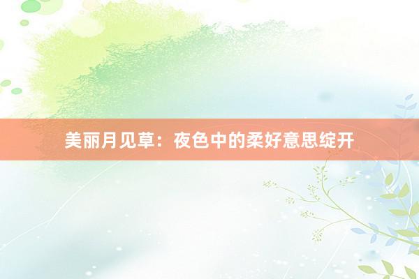 美丽月见草：夜色中的柔好意思绽开