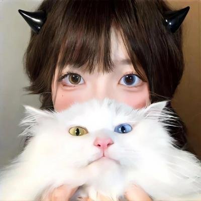 蠢蛋搞怪到永远4.5